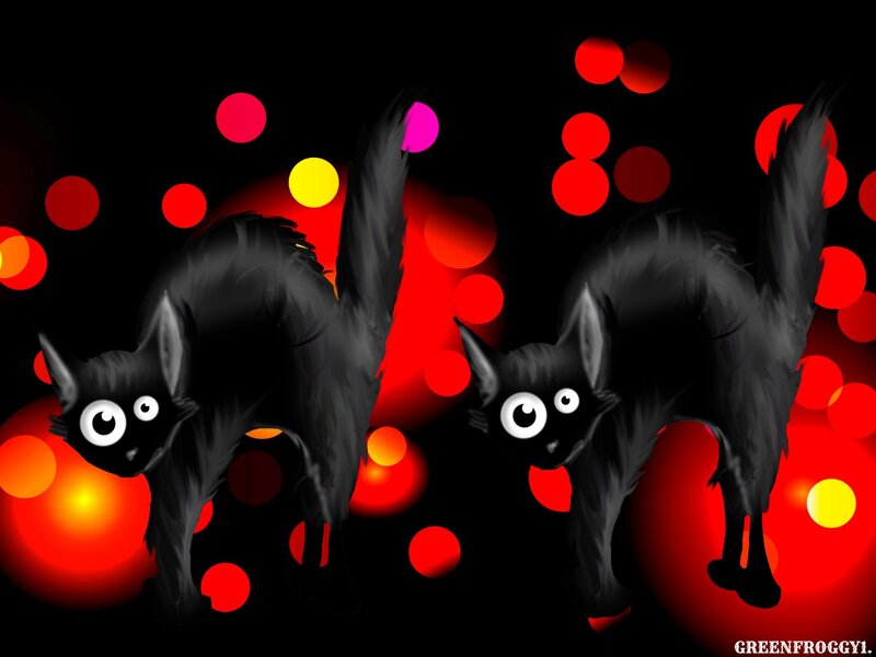 Two Black Cats — Playful