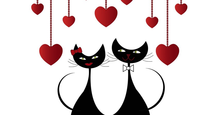 Two Black Cats — Romantic