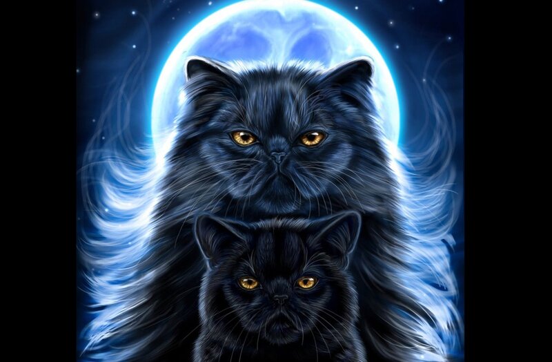 Two black cats under a blue moon
