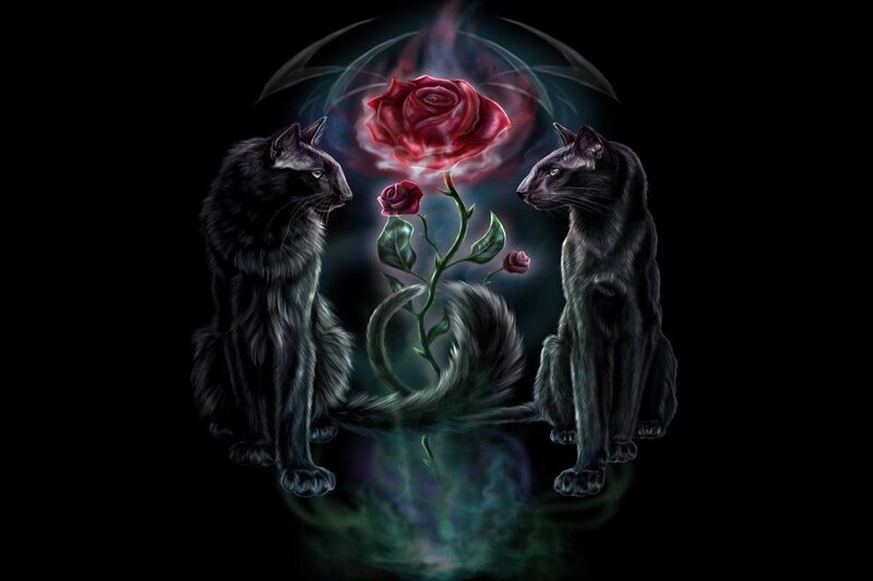 Two Black Cats with Roses — Dramatic
