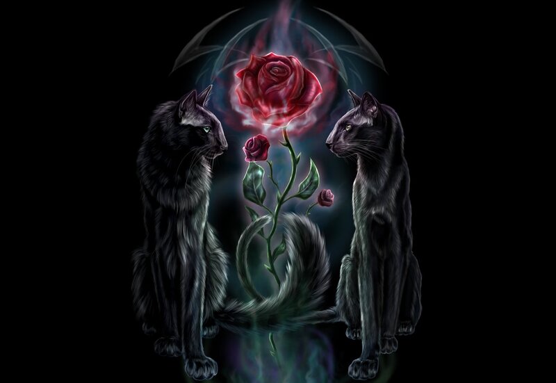 Two Black Cats with Roses