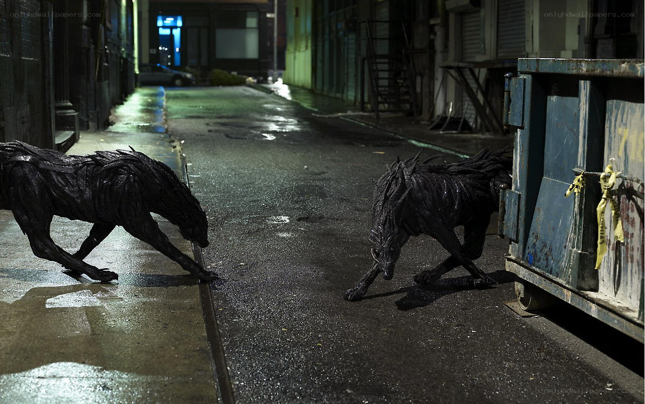 Two black creatures in alley