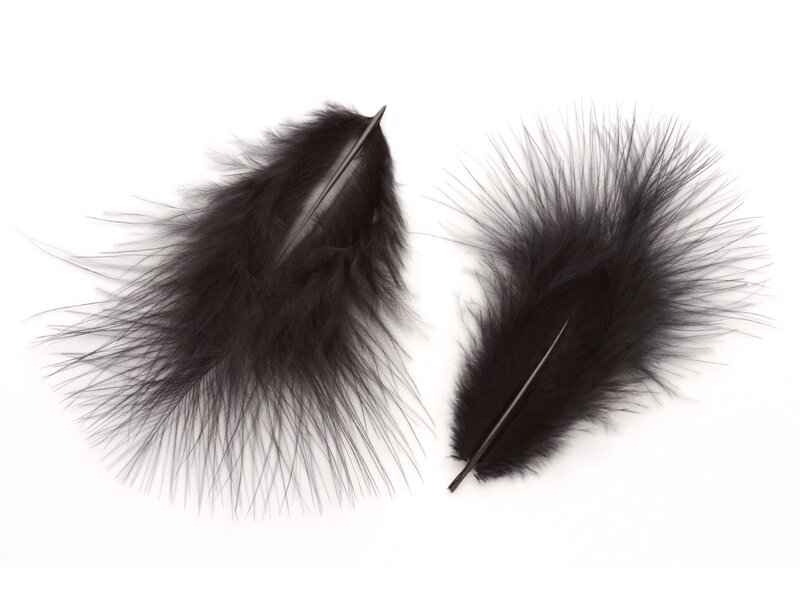 two black feathers on white