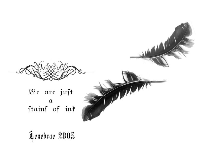 Two Black Feathers