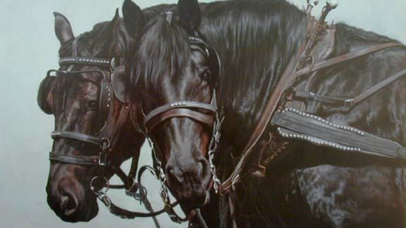 Two Black Horses — Calm