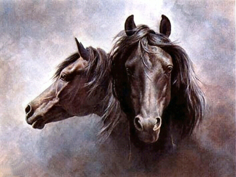 Two Black Horses — Dramatic