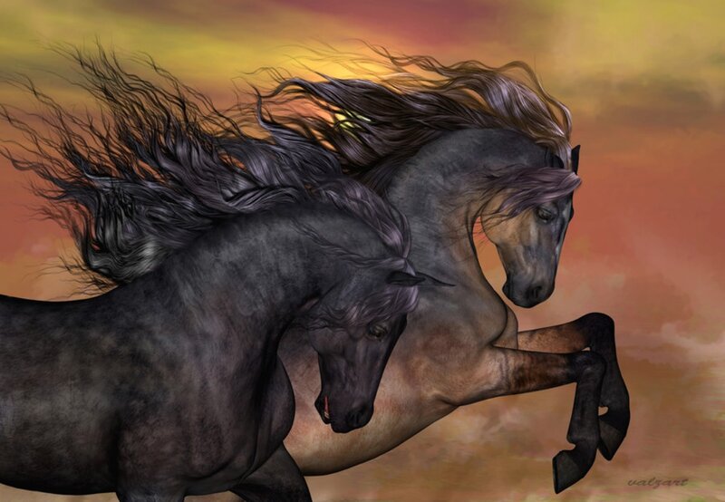 Two Black Horses Running — Orange
