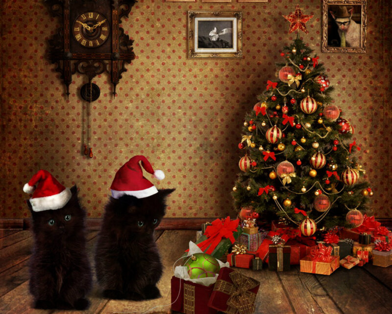 Two Black Kittens in Santa Hats