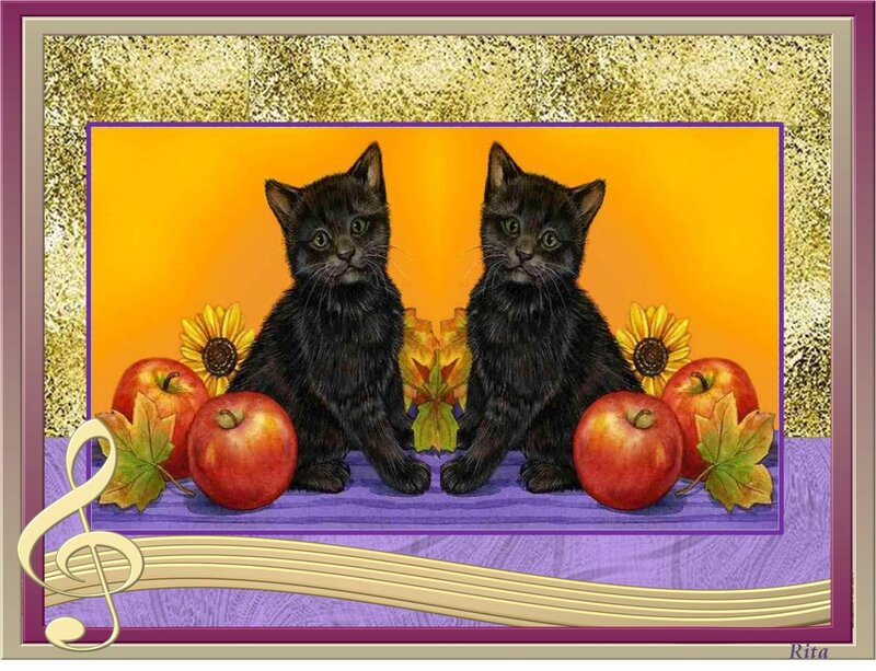 Two Black Kittens — Orange
