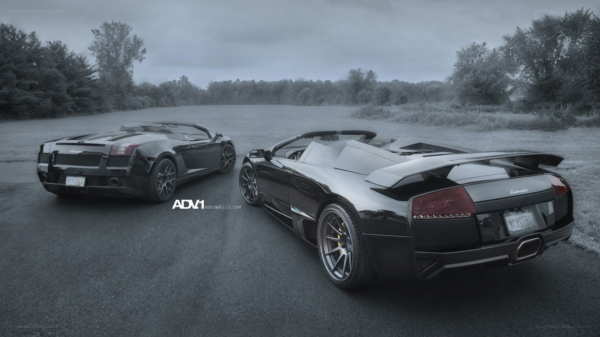 Two black Lamborghini convertibles
