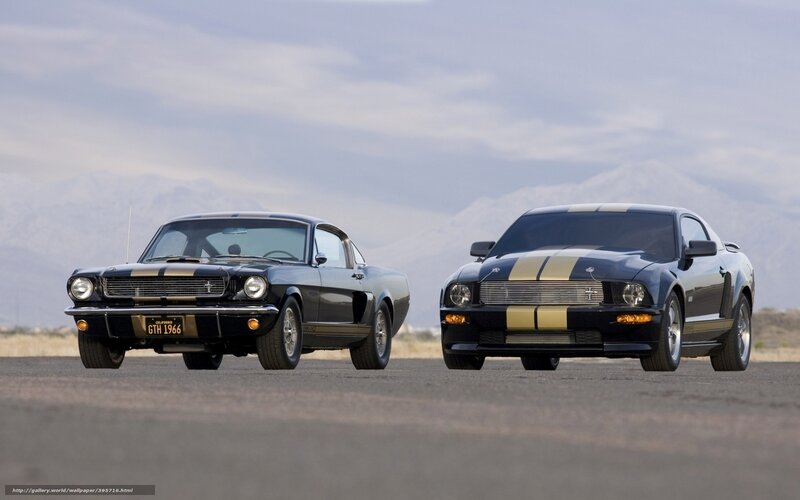 Two Black Mustang Cars — Dramatic, Afternoon