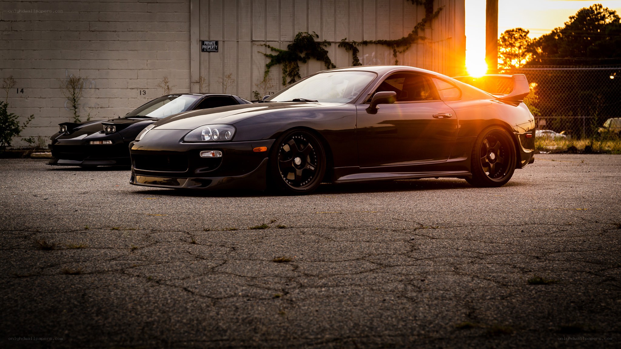 Two black sports cars at sunset