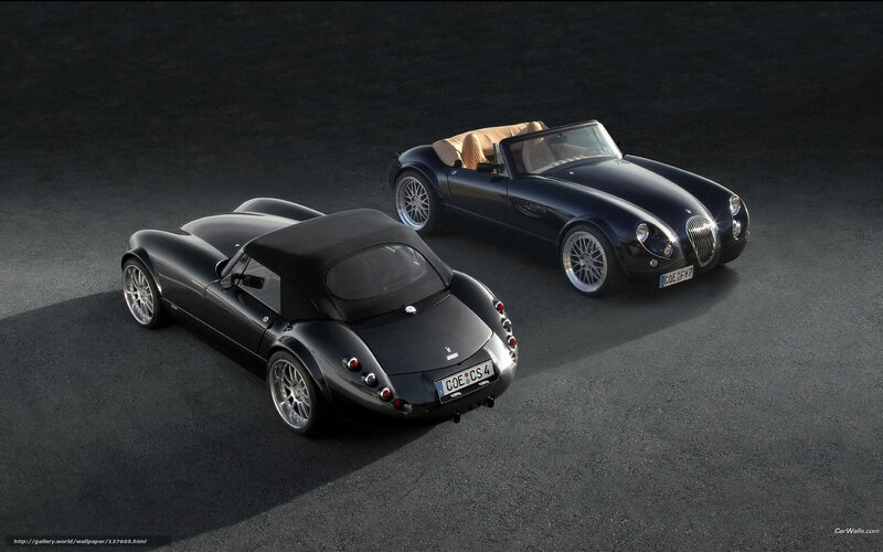 Two Black Sports Cars — Dramatic, Photograph