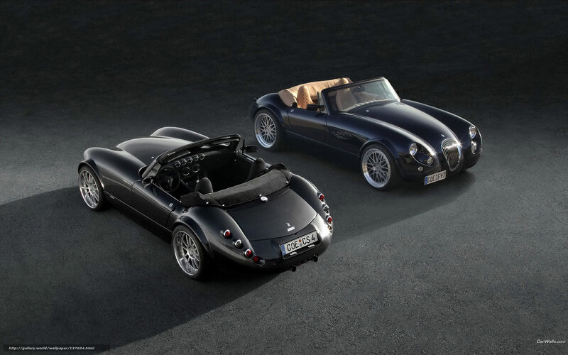 Two Black Sports Cars — Dramatic