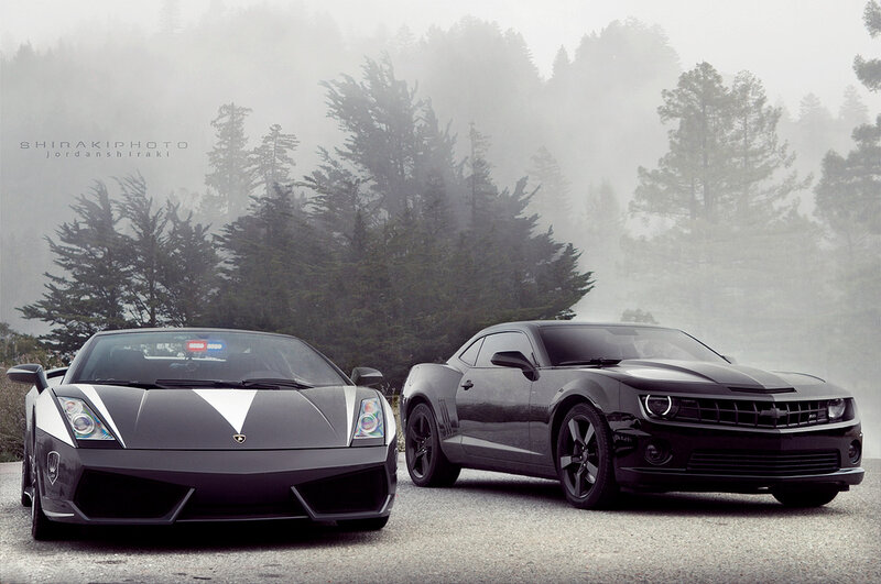 Two Black Sports Cars — Misty