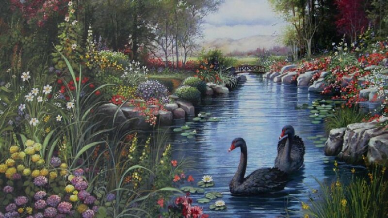 Two Black Swans — Blue