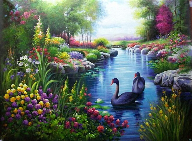 Two Black Swans on a Stream