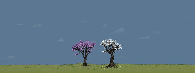 Two blooming trees on a hill