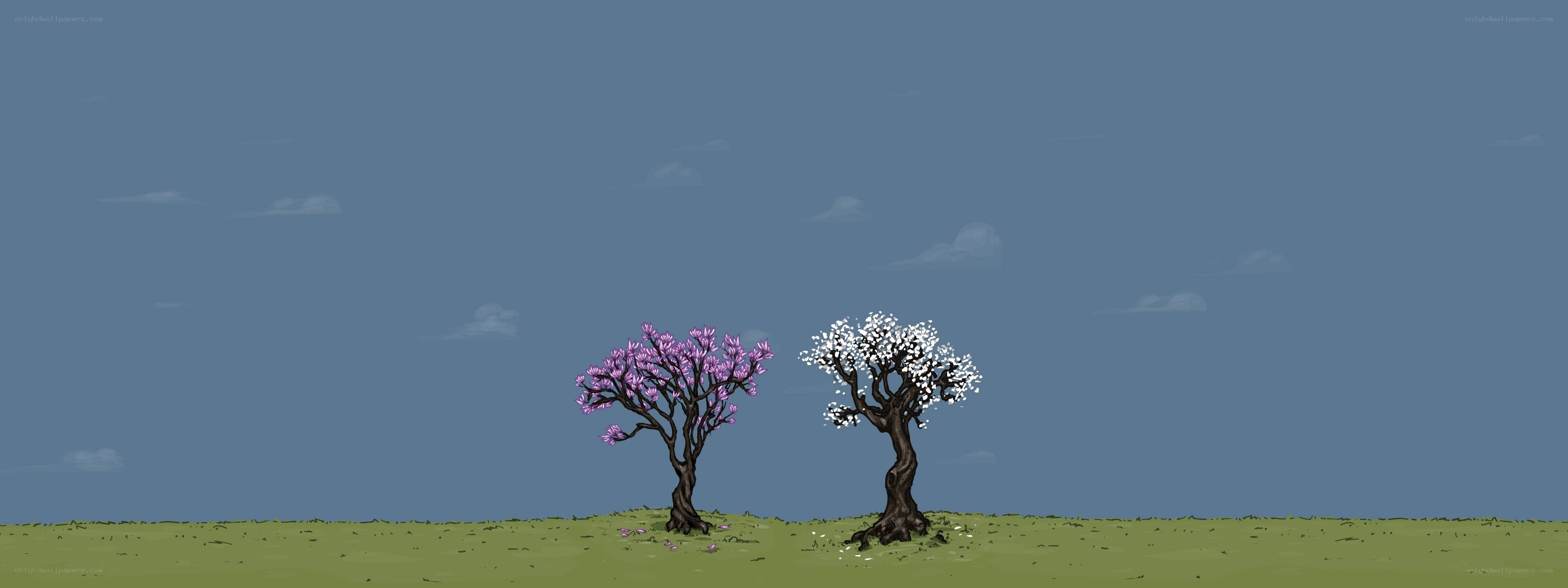 Two blooming trees on a hill