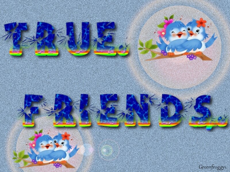 Two Blue Birds on Branch — Cheerful