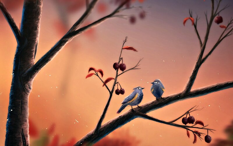 Two Blue Birds on Branch — Orange