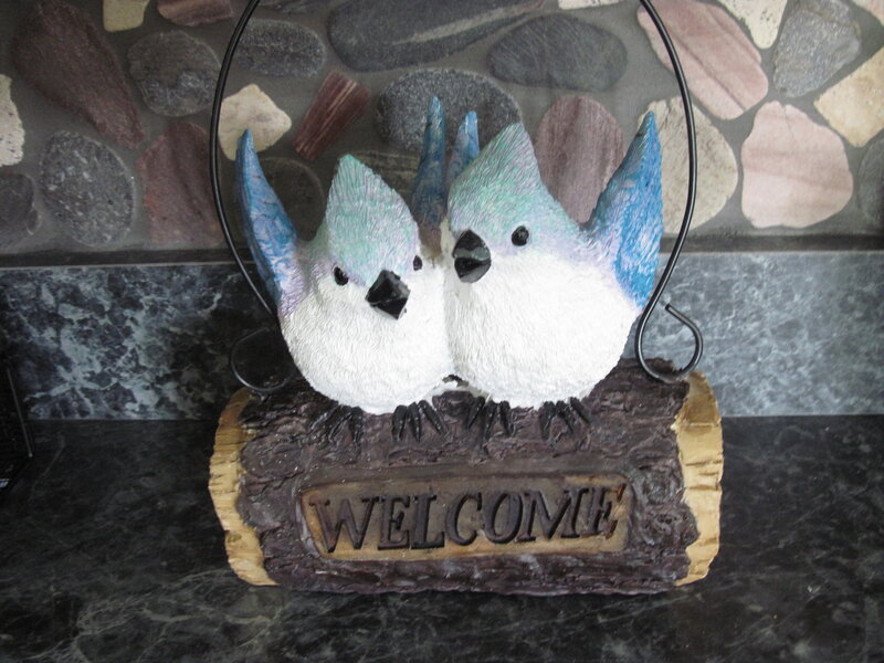 Two Blue Birds on Log