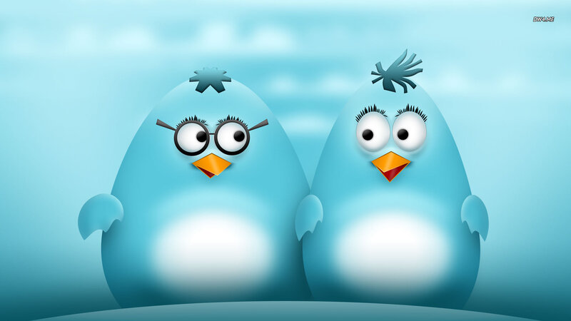 Two Blue Birds — Playful
