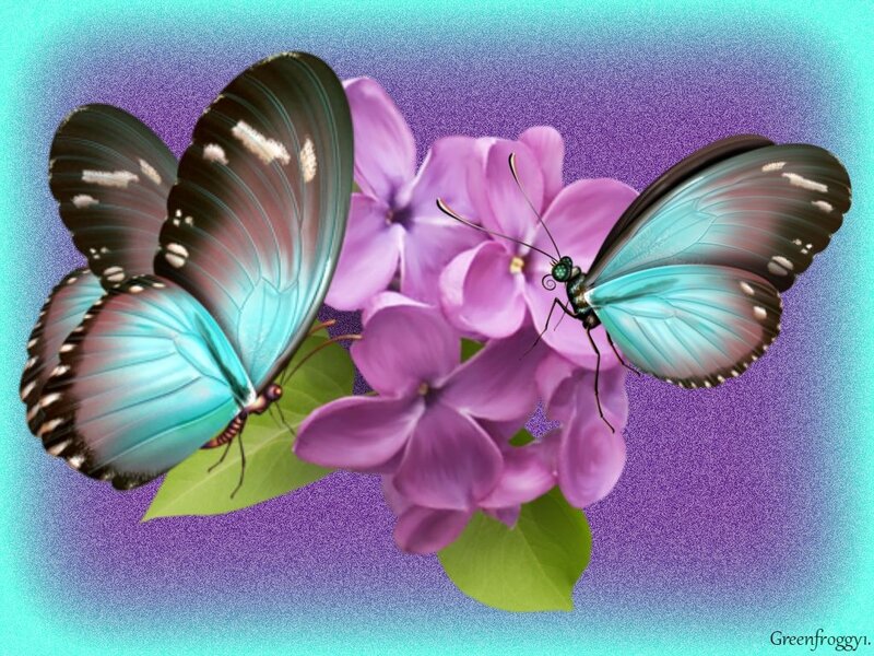 Two Blue Butterflies — Serene, Digital Art