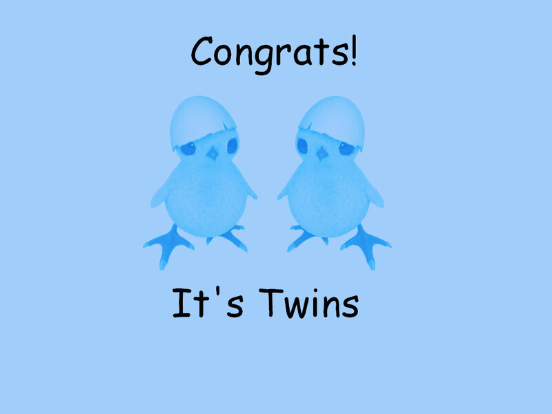 Two Blue Chicks