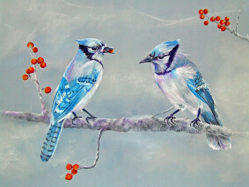 Two Blue Jays on Branch