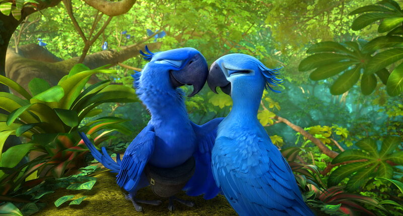 Two Blue Parrots — Serene