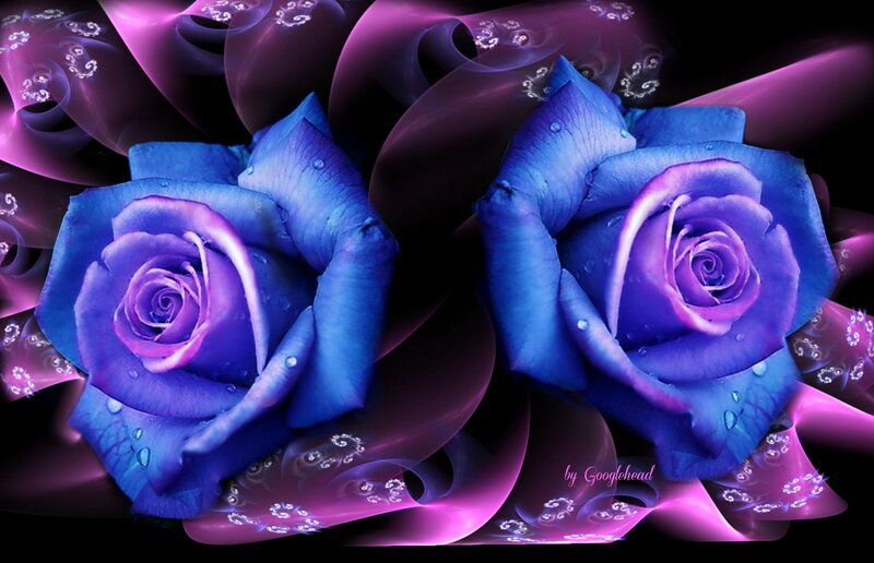 Two Blue Roses — Dramatic, Digital Art