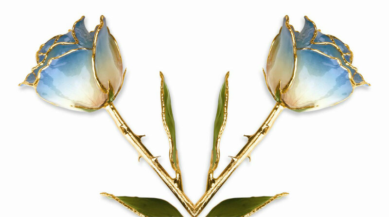 Two Blue Roses — Elegant