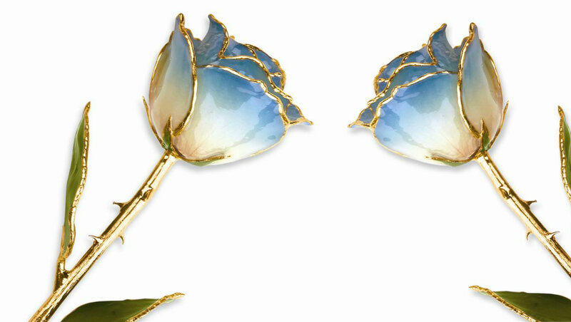 Two Blue Roses — Serene, Photograph, Gold Stems