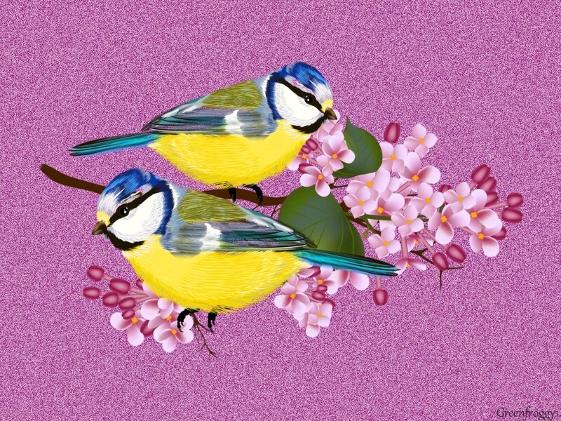 Two Blue Tit Birds — Purple