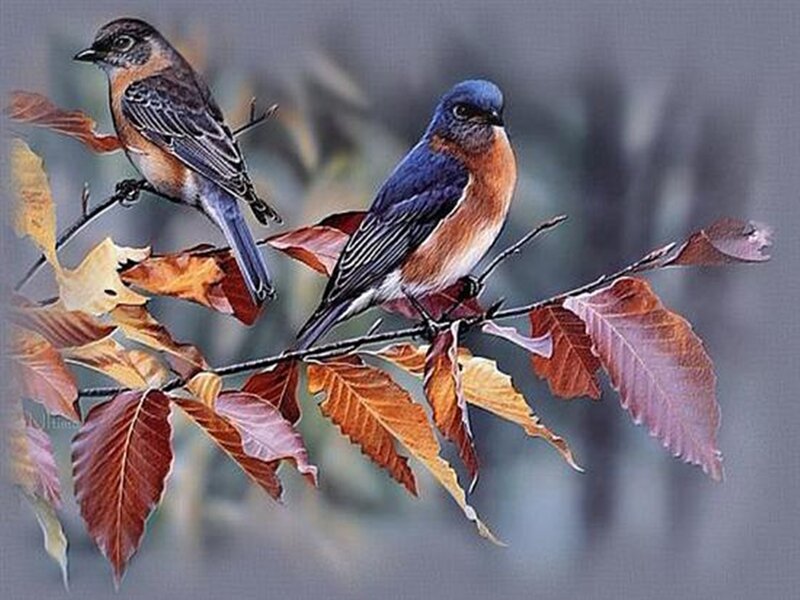 Two Bluebirds on Branch — Blue, Serene, Autumn, Painting, Leaves