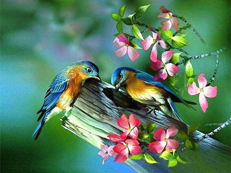 Two Bluebirds on Branch — Blue, Serene, Spring, Digital Art