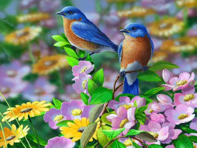 Two Bluebirds on Branch — Blue, Serene, Spring, Illustration