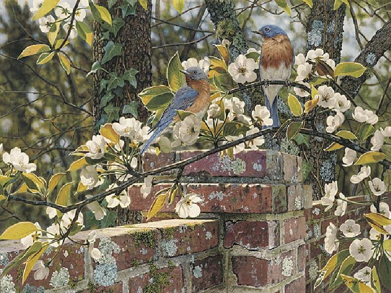Two Bluebirds on Branch — Blue, Serene, Spring, Painting, Flowers, Brick Wall