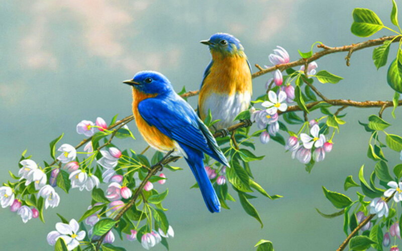 Two Bluebirds on Branch — Blue, Serene, Spring, Painting