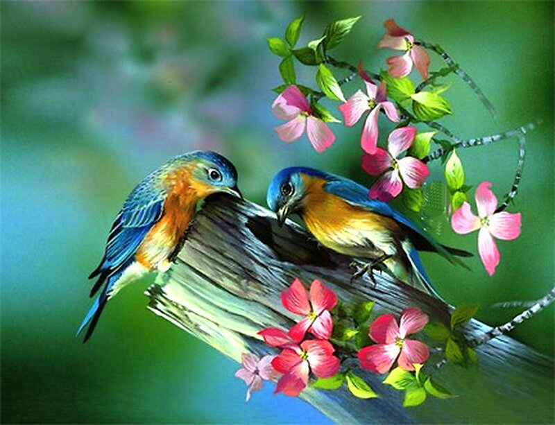 Two Bluebirds on Branch — Blue, Serene
