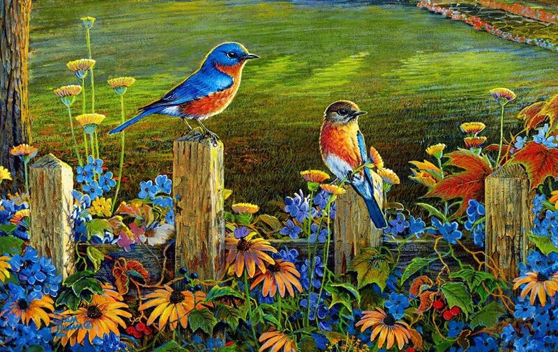 Two Bluebirds on Fence