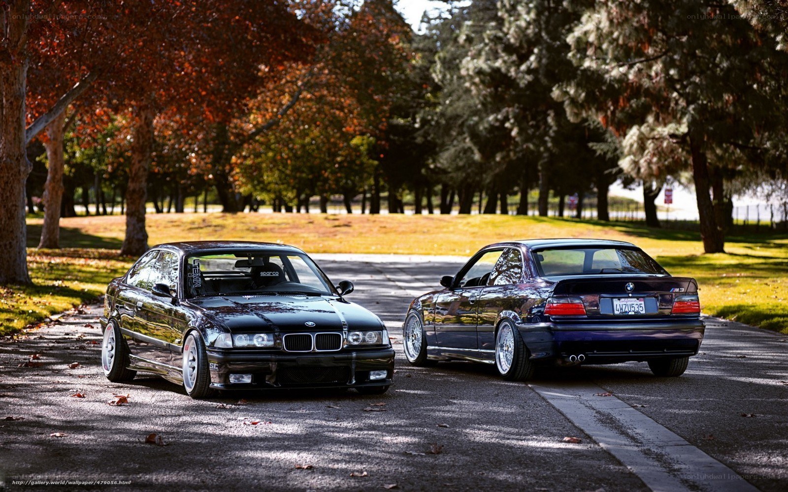Two BMW cars in a park