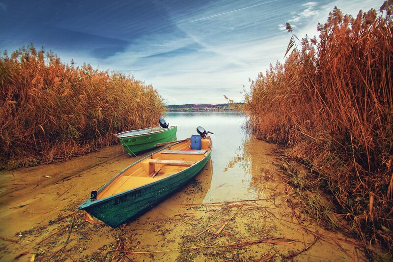 Two Boats in Reeds — Green