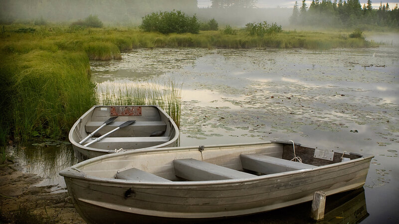 Two Boats on a Pond — Green