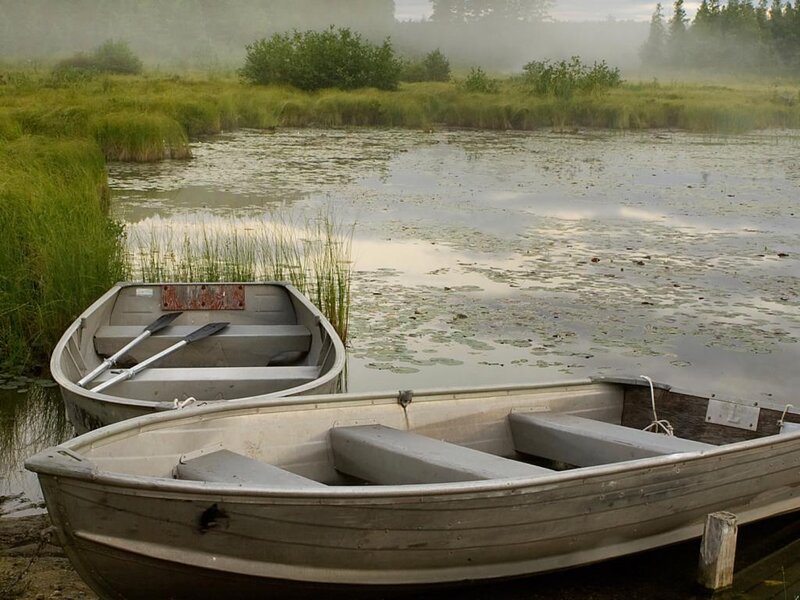Two Boats on a Pond