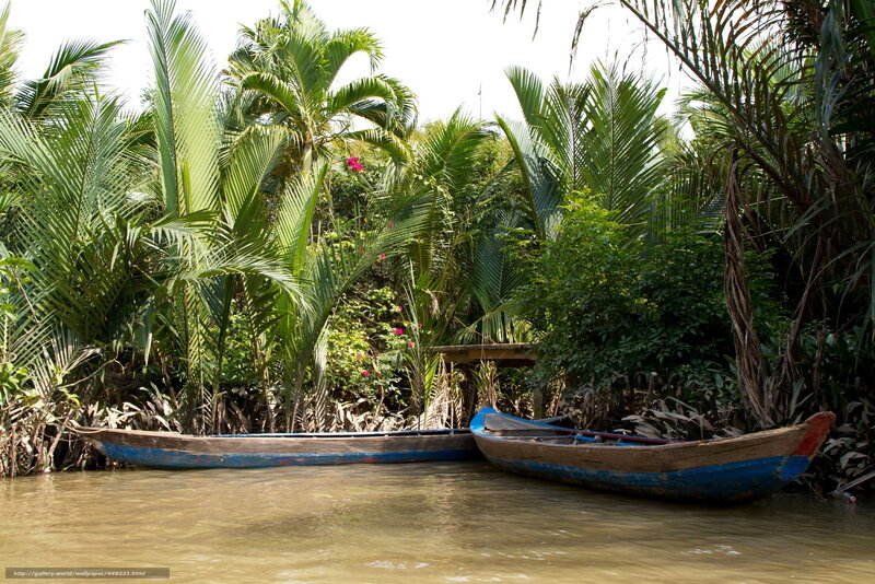 Two Boats on a River — Green, Serene, Afternoon