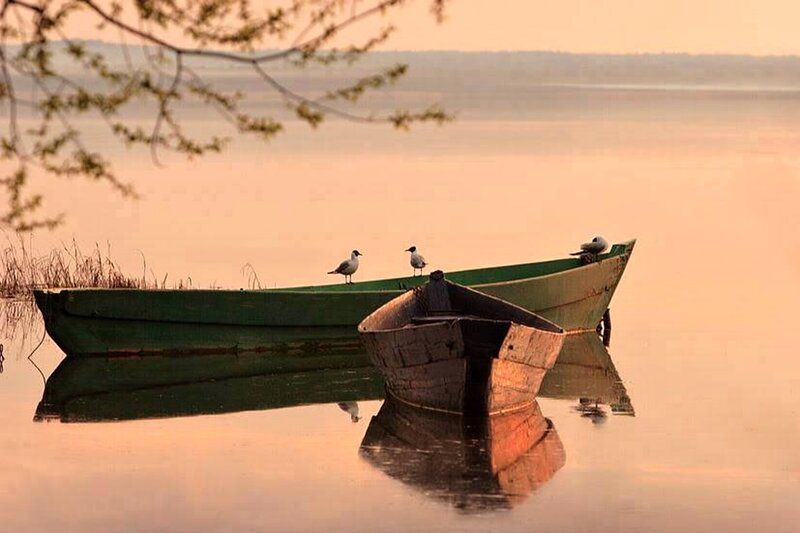 Two Boats on Calm Water — Orange