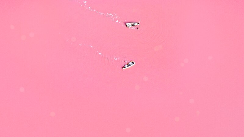 Two Boats on Pink Water