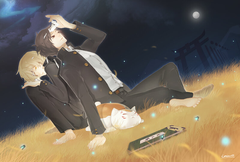 Two Boys and a Cat